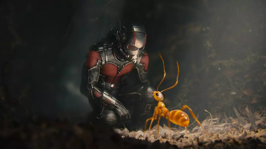 2018082711382522 - 细谈蚁人2：过度使用蚁人的悲剧，真的出现了！